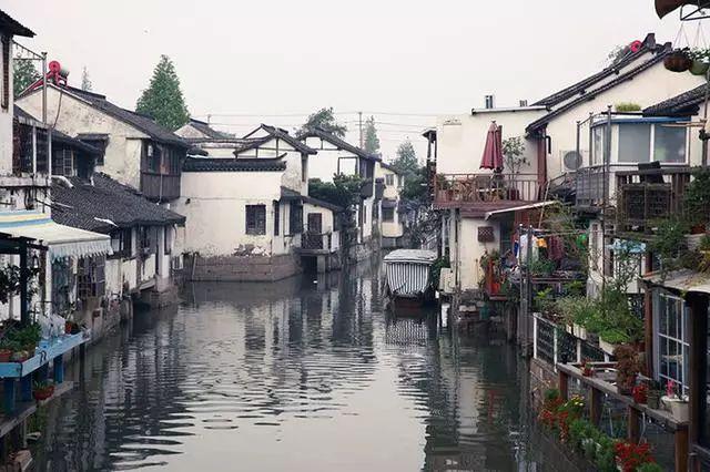 奈飞期权聚焦：1月24日成交71.5万张，未平仓合约72.7万张